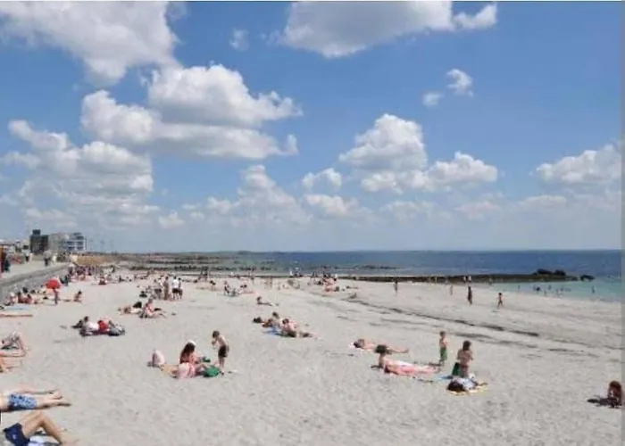 Large Cosy With Garden, Excellent Location! Ferienhaus