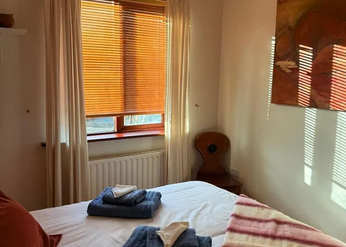 Large Cosy With Garden, Excellent Location! Galway