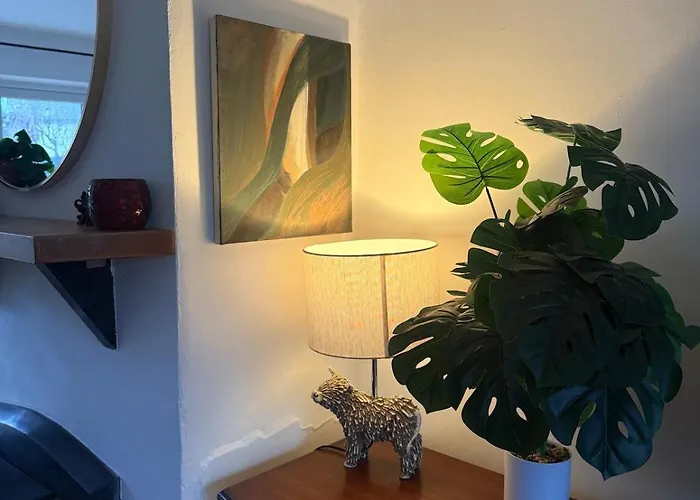 Large Cosy With Garden, Excellent Location! Ferienhaus Galway