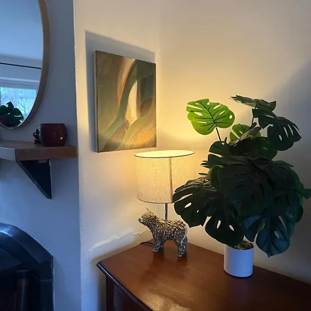 Large Cosy With Garden, Excellent Location! Ferienhaus Galway